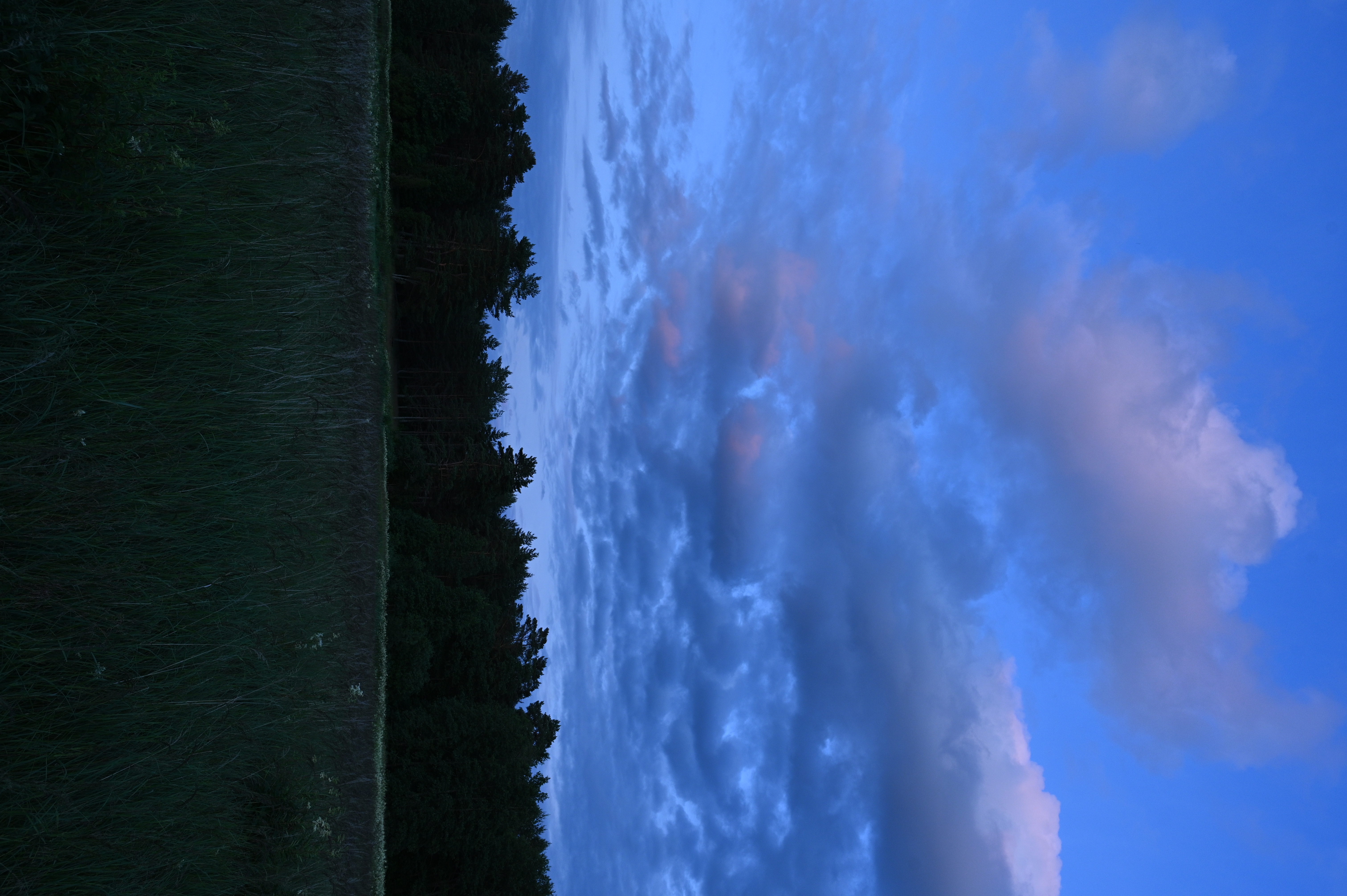 2025/07/09-14 - trip/DSC_0125.JPG